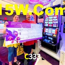 VIP Casino C333