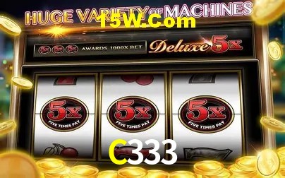 2FA Security C333